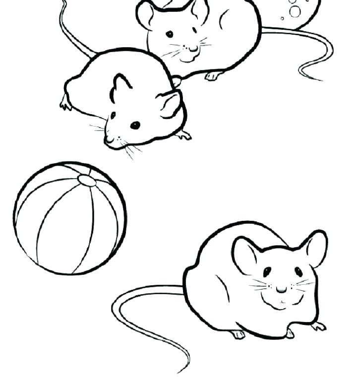 712x774 Island Coloring Pages Coloring Pages Packed With Aloha Graffiti