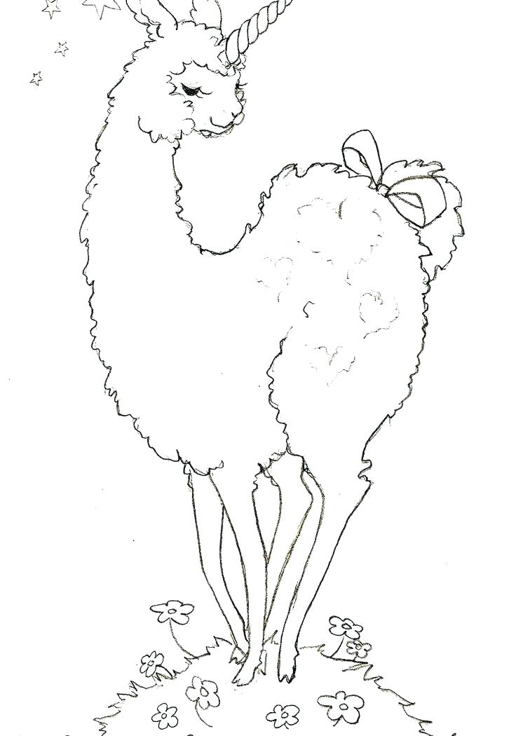 736x1050 Llama Coloring Page Ideal Llama Coloring Pages Online Outline Page