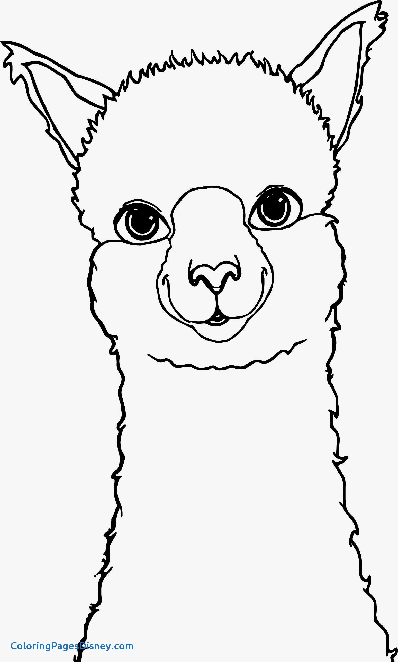 1548x2575 Llama Coloring Pages Unique Alpaca Drawing Coloring Page