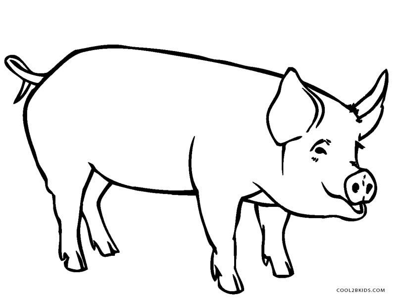 800x609 Fancy Pig Coloring Pages 64 For Your Kids With Inside Plans 4