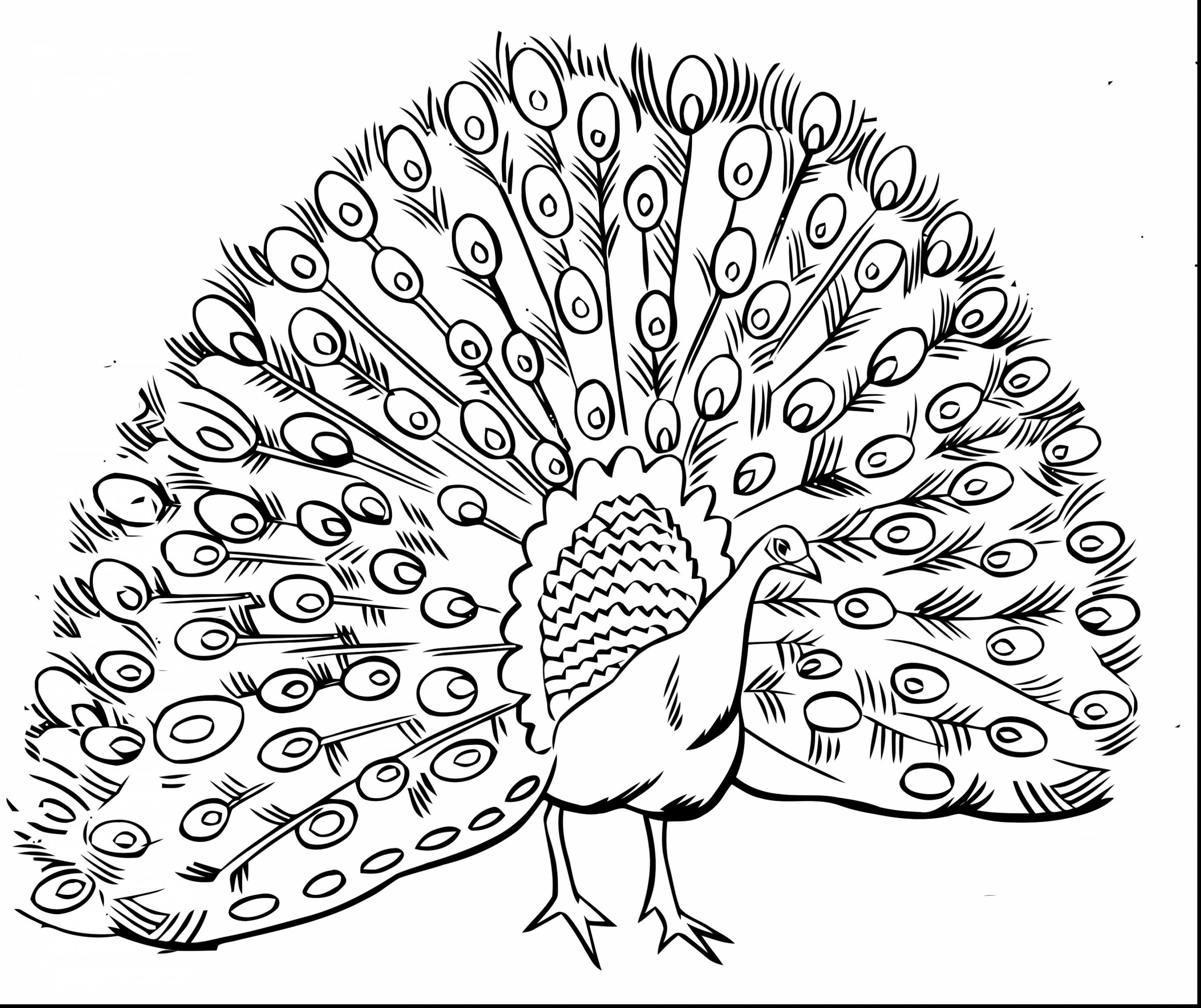 3256x2733 Astounding Printable Intricate Adult Coloring Pages With Amazing