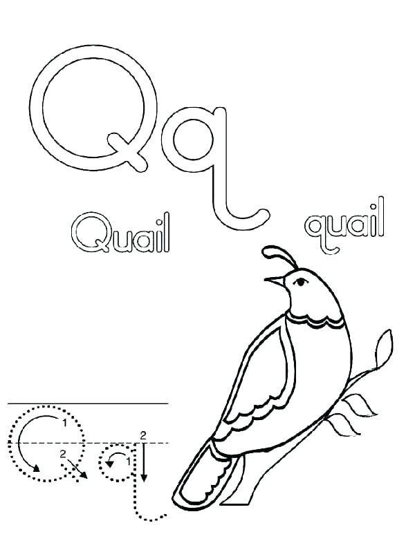 Alphabet Coloring Pages For Preschoolers 600x799 Alphabet Coloring Pages For Preschoolers