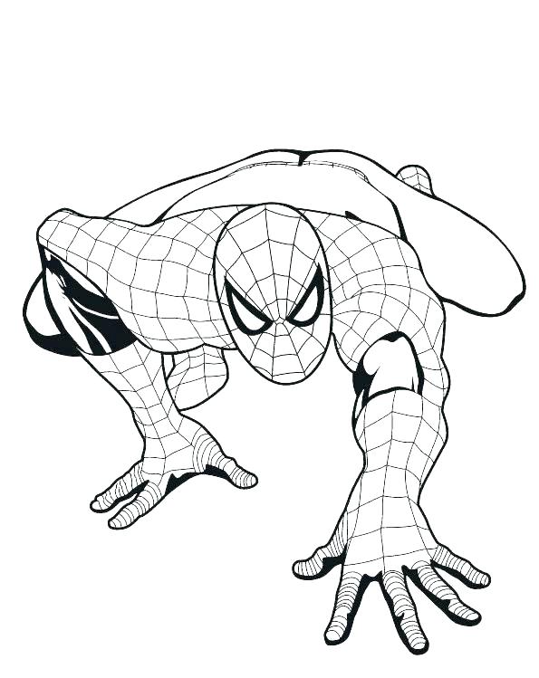 595x749 Spiderman Pictures To Color Plus Large Size Of Color Pages