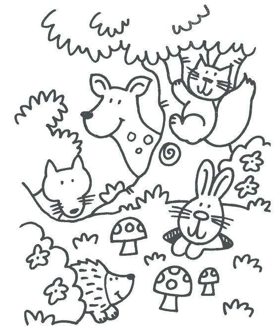 557x674 Forest Animals Coloring Pages Some Coloring Pages In The Theme