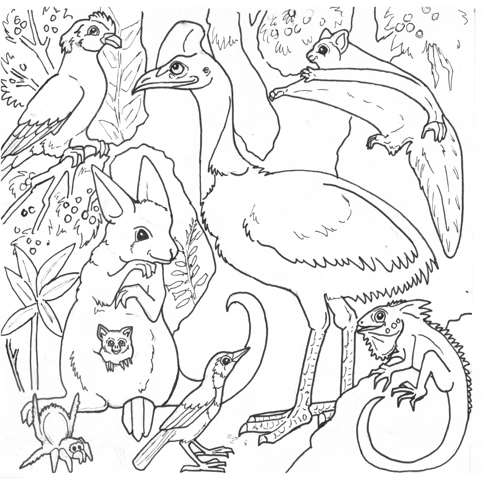1600x1600 Jungle Animals Coloring Pages At Of Rainforest