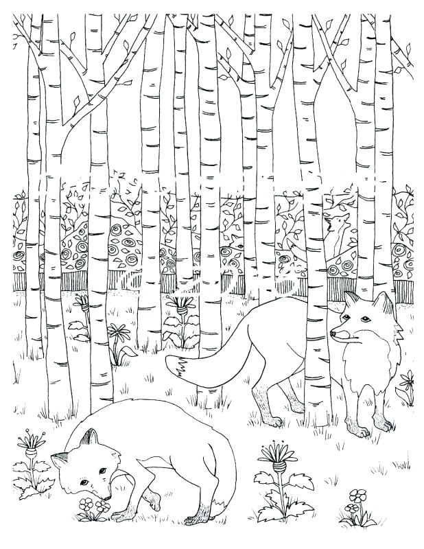 618x800 Rain Forest Coloring Pages Animals Coloring Page Coloring Pages