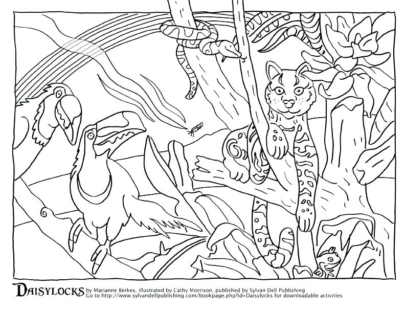 792x612 Rainforest Coloring Pages Free Animal Habitat Coloring Sheets Page