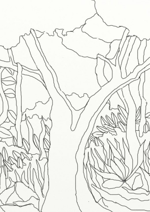 520x735 Wild Treasures Amazon Coloring Pages
