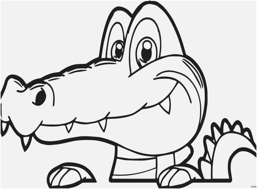 827x609 Alligator Coloring Pages Pictures Good Alligator Coloring Pages 71