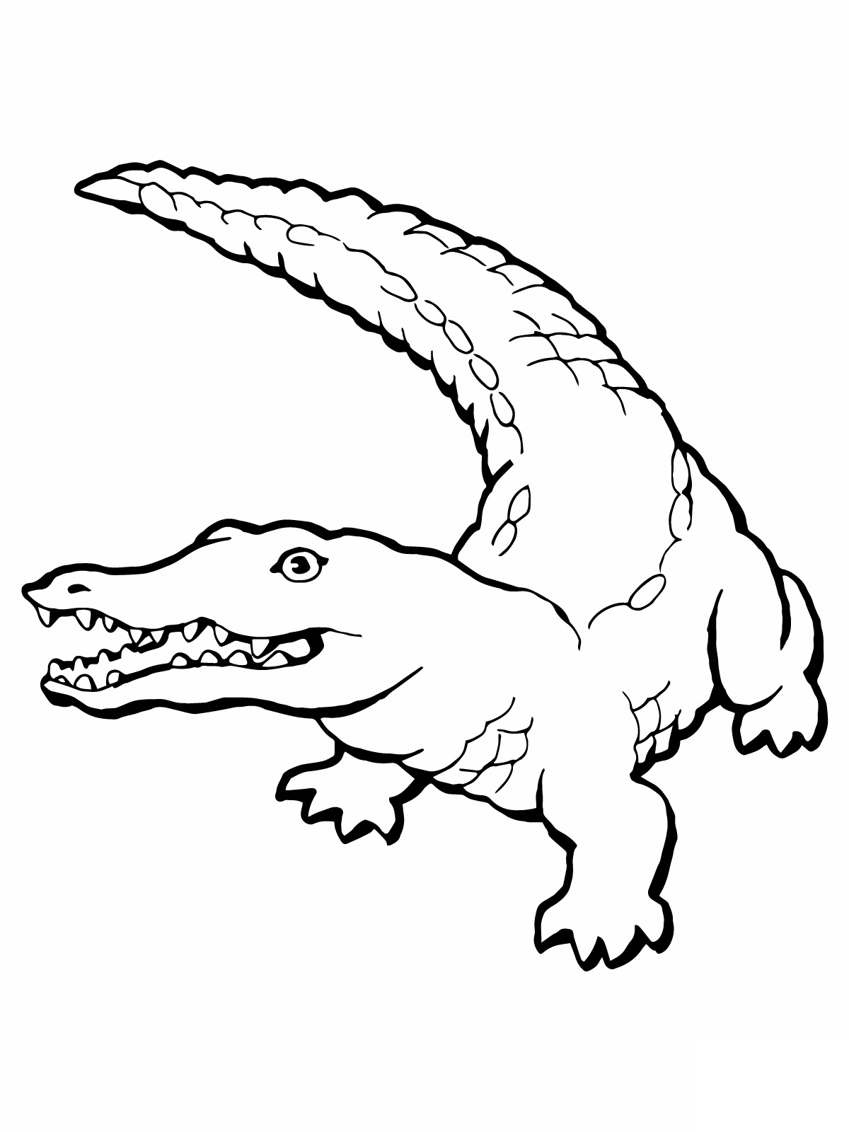 1200x1600 Immediately American Alligator Coloring Page Gator Pages Or Common