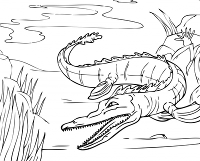 400x322 Alligator Coloring Page Image Clipart Images