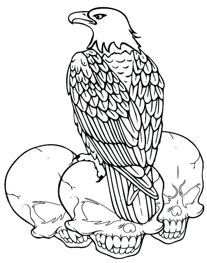 669x850 Bald Eagle Coloring Sheet Free Bald Eagle Coloring Pages Free