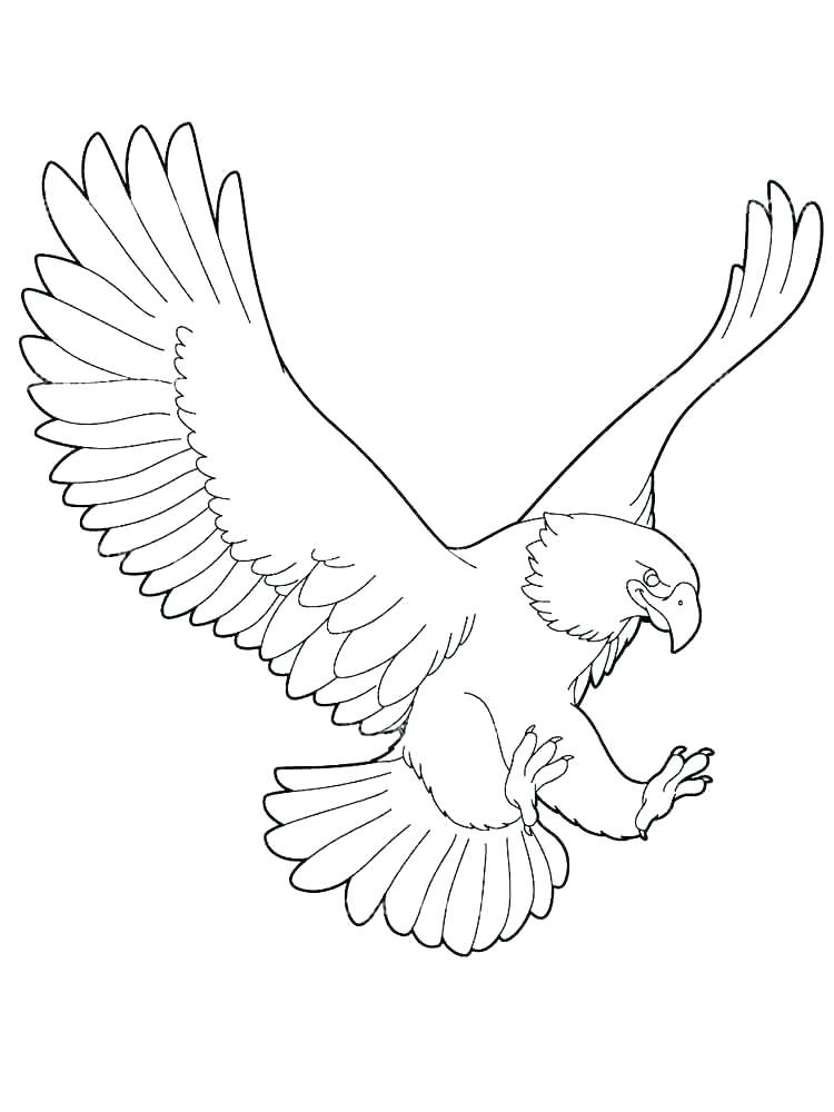 750x1000 Bald Eagle Flying High Coloring P On Bald Eagle Coloring Pages