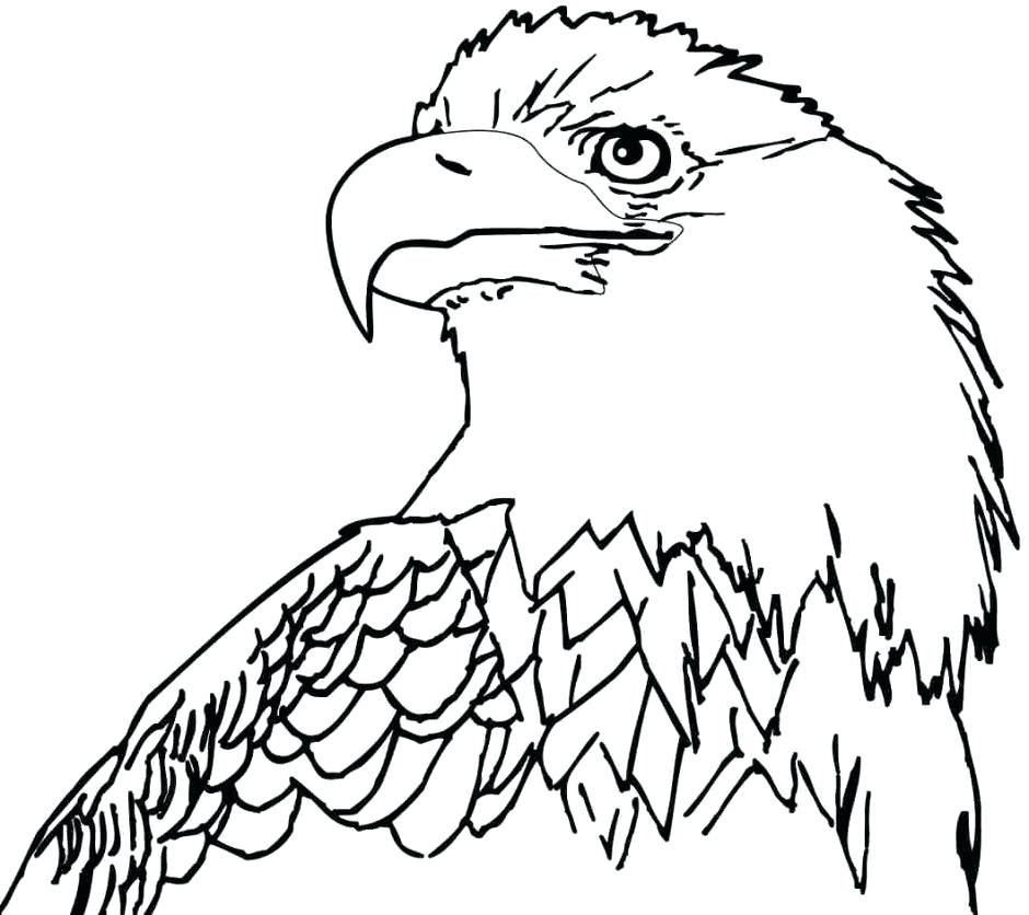940x836 Eagle Color Page Free Bald Eagle Coloring Pages Coloring Pages