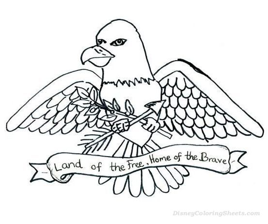 554x462 American Bald Eagle Coloring Sheet Coloring Pages
