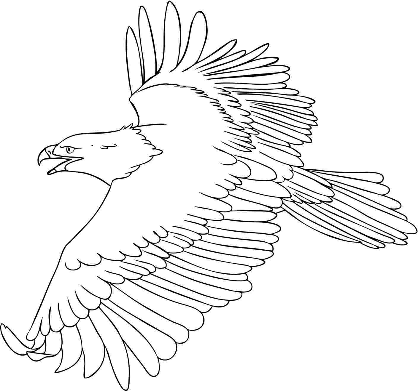 1409x1320 Eagle Coloring Pages Perched Golden Pictures Animal Baby American