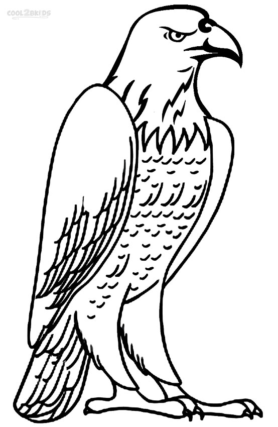 554x850 Bald Eagle Coloring Page Printable