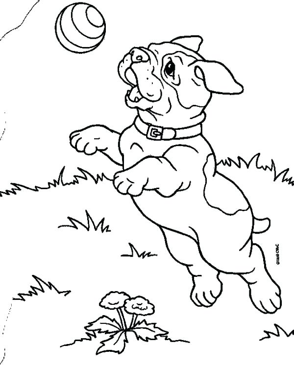 600x753 Bulldog Coloring Page French Bulldog Coloring Pages French Bulldog