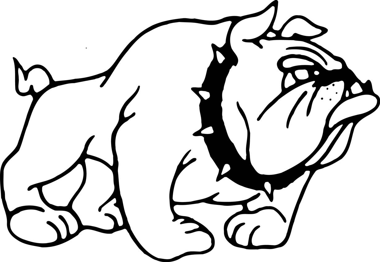 1231x848 Bulldog Coloring Pages Great 15 With Additional Free Colouring