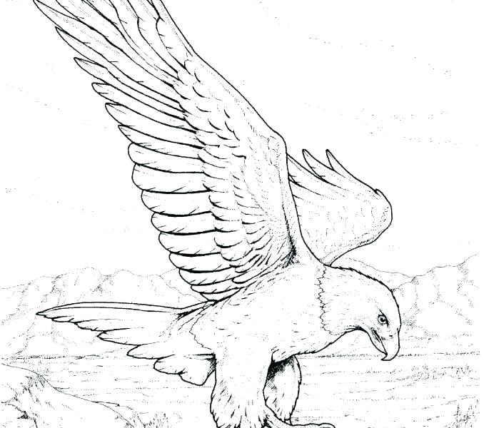 Bald Eagle Coloring Pages American Bald Eagle Coloring Pictures 678x600 Bald Eagle Coloring Pages American Bald Eagle Coloring Pictures