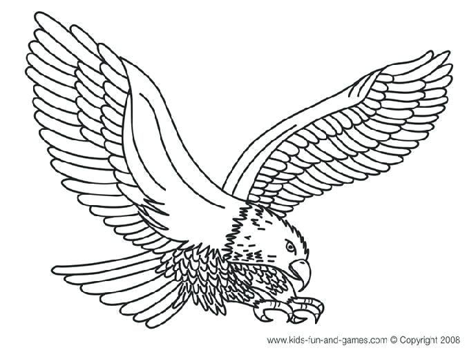 Bald Eagle Coloring Pages Bald Eagle Coloring Page Luxury Bald 689x517 Bald Eagle Coloring Pages Bald Eagle Coloring Page Luxury Bald