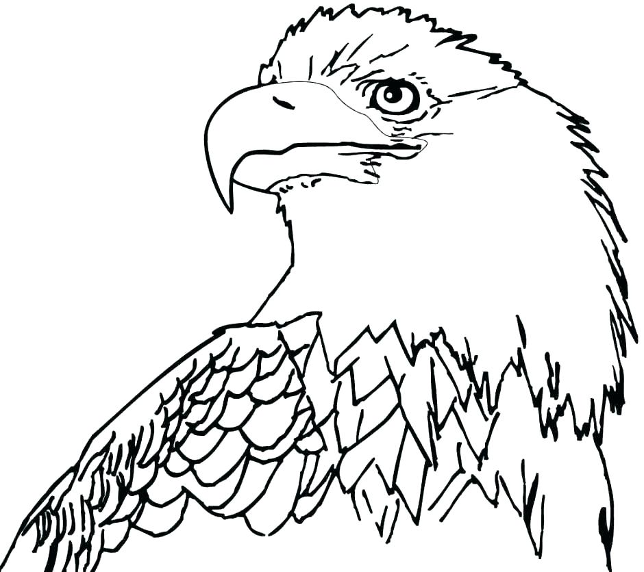 Bald Eagle Pictures To Color Bald Eagle Coloring Pages Eagle Color 940x836 Bald Eagle Pictures To Color Bald Eagle Coloring Pages Eagle Color