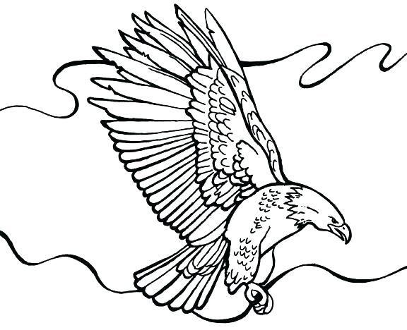 Eagle Color Page Medium Size Of Bald Eagle Coloring Pages Free 576x468 Eagle Color Page Medium Size Of Bald Eagle Coloring Pages Free