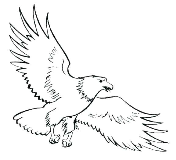 American Eagle Coloring Pages at GetColorings.com | Free printable ...