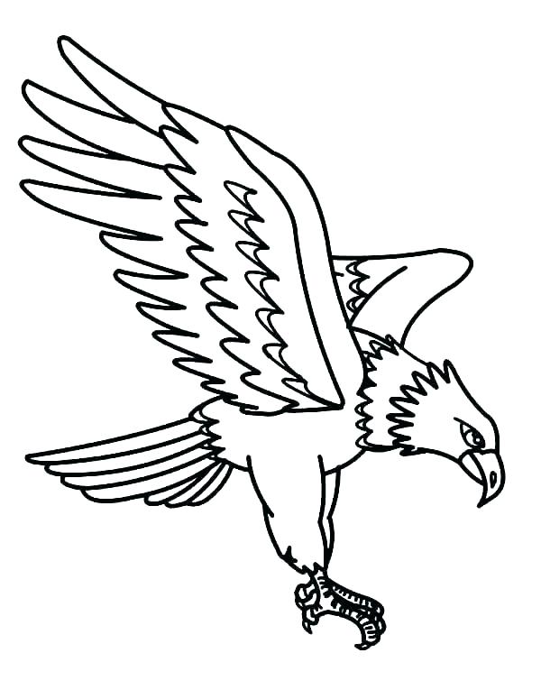 Bald Eagle Coloring Pictures 600x775 Bald Eagle Coloring Pictures