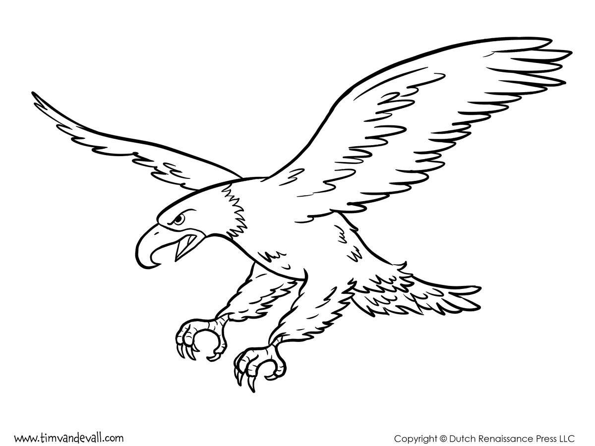Bald Eagle Coloring Page Free Printable Realistic Animals Feather 1200x900 Bald Eagle Coloring Page Free Printable Realistic Animals Feather