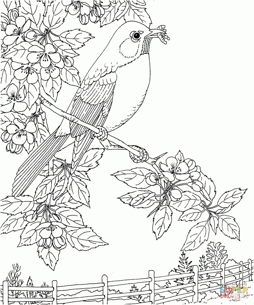 853x1024 Fresh Thrush Coloring Pages Gallery Printable Coloring Sheet