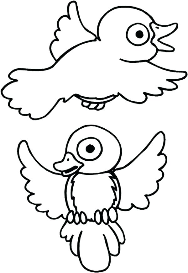 600x870 Robin Coloring Page Drawing Robin Bird Coloring Page American