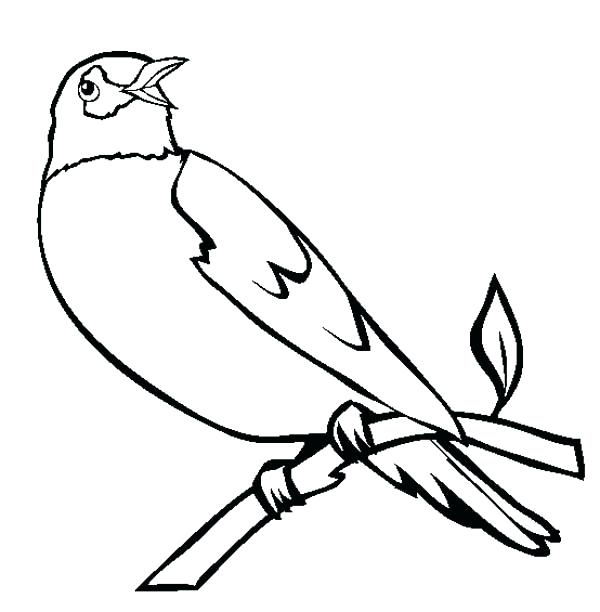 600x612 Robin Coloring Page Robin Robins Marketing Bird Singing Coloring