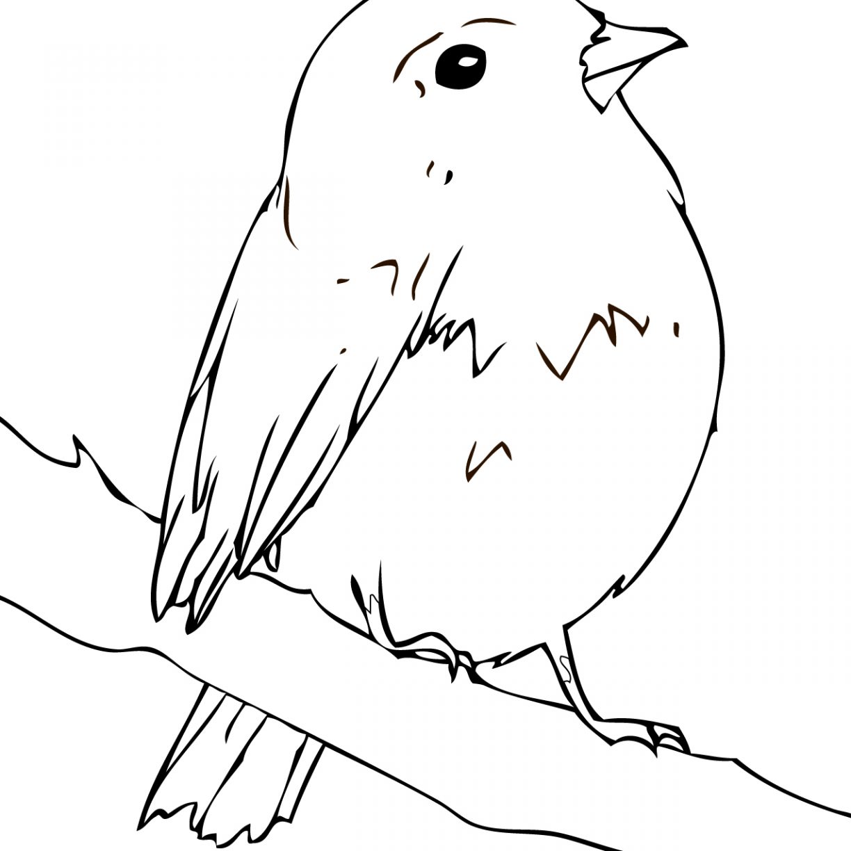 1224x1224 Robin Coloring Pages Hood Of Disney For Kids Dreaded Lego