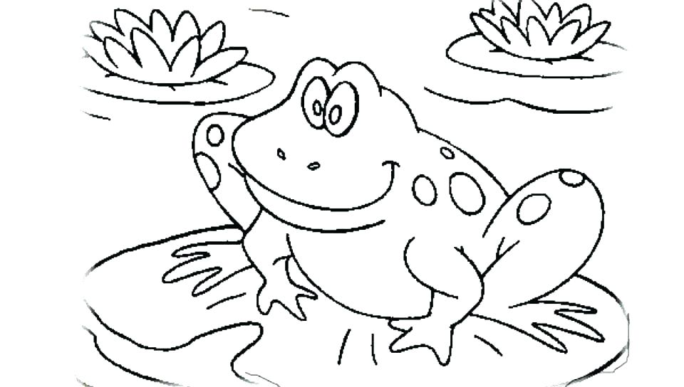 Amphibian Coloring Pages