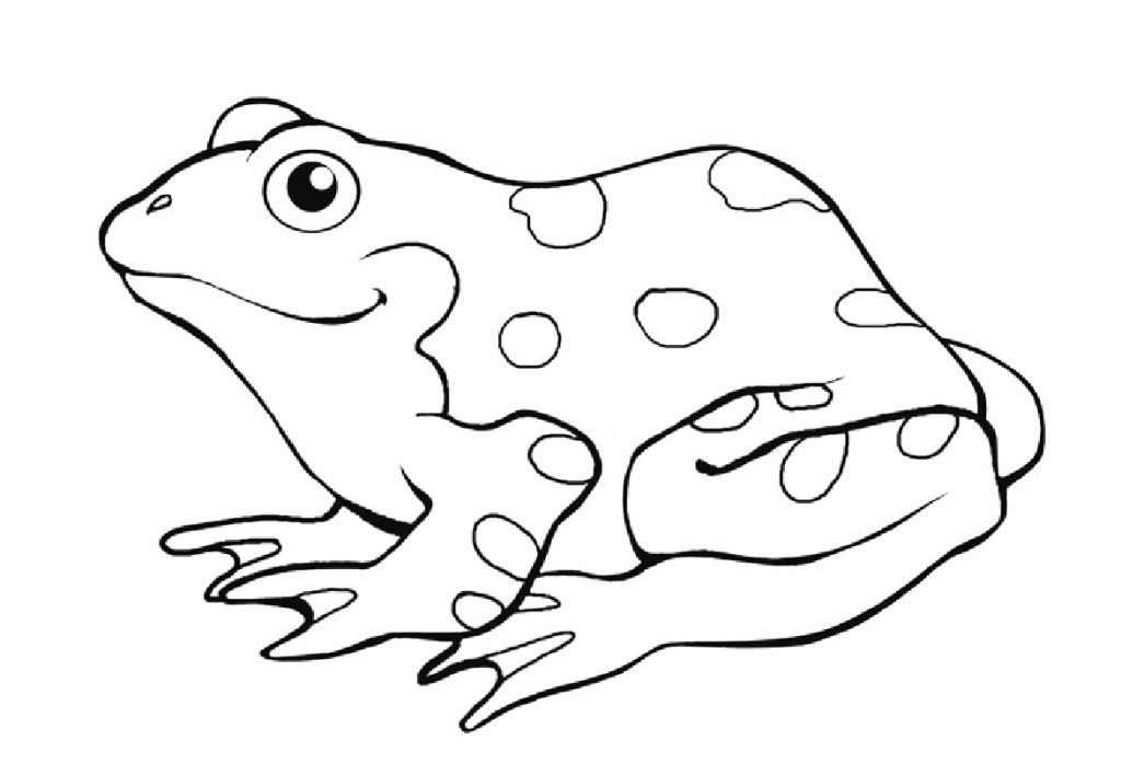 1024x698 Tadpole Amphibian Coloring Pages For Kids Page Free Printable