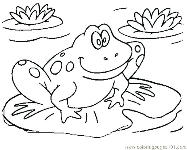 650x523 Amphibian Coloring Pages Coloring Page Free Amphibian Coloring