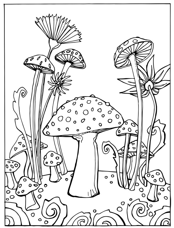 Creating A Coloring Sheet The Gnome Ranger Short Leg Studio 600x787 Creating A Coloring Sheet The Gnome Ranger Short Leg Studio
