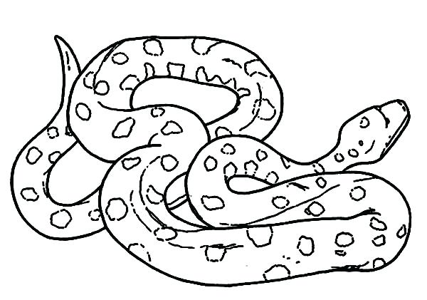 600x421 Snake Color Pages Mother Of Snake Anaconda Coloring Page Coloring