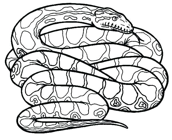 600x488 Snake Coloring Page And Snake Coloring Page Snake Color Page