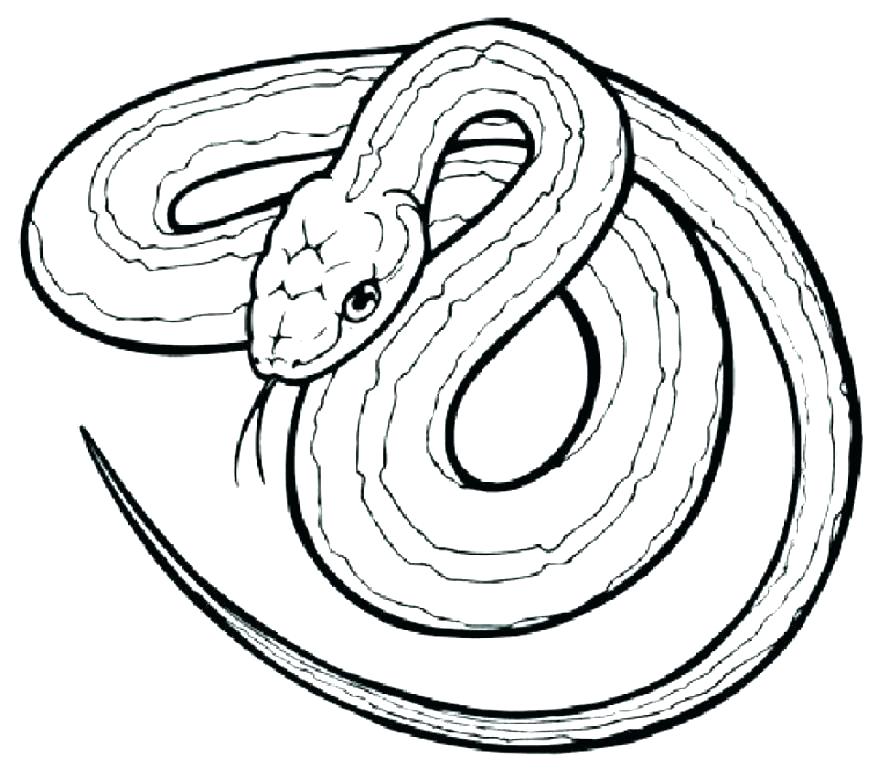 878x769 Anaconda Coloring Page Anaconda Coloring Pages Rattlesnake