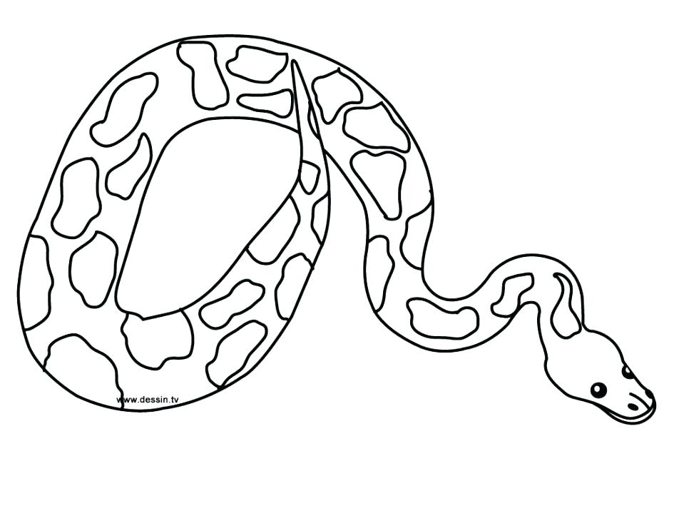 Coloring Pages Snake Coloring Pages Of Snakes Anaconda Snake 945x709 Coloring Pages Snake Coloring Pages Of Snakes Anaconda Snake