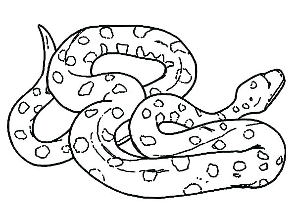 Colouring Pictures Of Snakes Colouring Pictures Of Snakes Snakes G 600x421 Colouring Pictures Of Snakes Colouring Pictures Of Snakes Snakes G