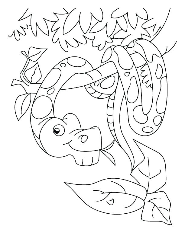 Colouring Pictures Of Snakes Snakes G Pages Of Page Anaconda Snake 612x792 Colouring Pictures Of Snakes Snakes G Pages Of Page Anaconda Snake