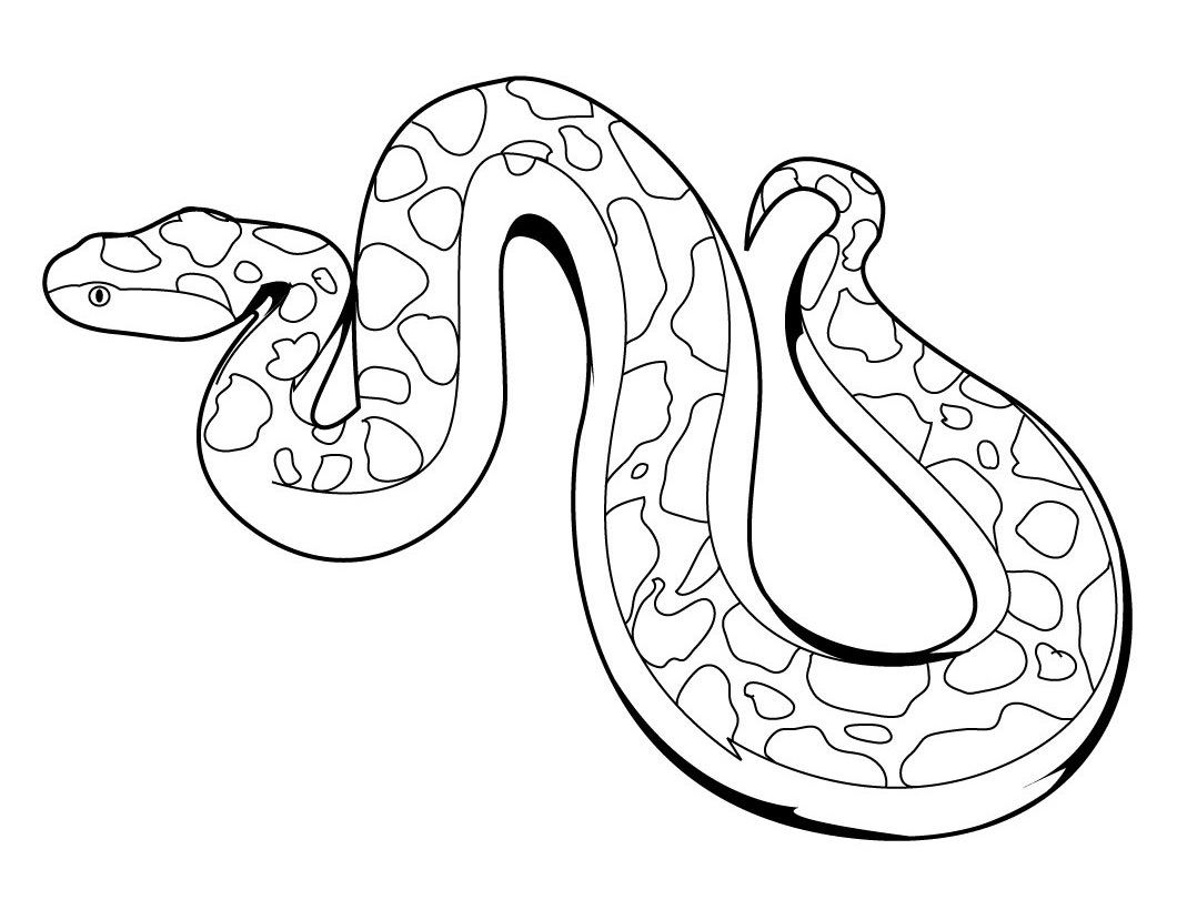Creative Ideas Snake Coloring Pages Printable Realistic For Adults 1060x820 Creative Ideas Snake Coloring Pages Printable Realistic For Adults