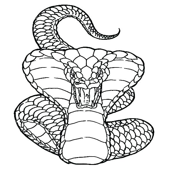 Viper Snake Coloring Page Cobra Viper Snake Coloring 600x600 Viper Snake Coloring Page Cobra Viper Snake Coloring