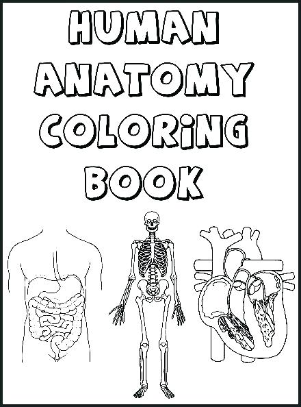 440x594 Large Heart Coloring Page Heart Anatomy Coloring Pages Cool Heart