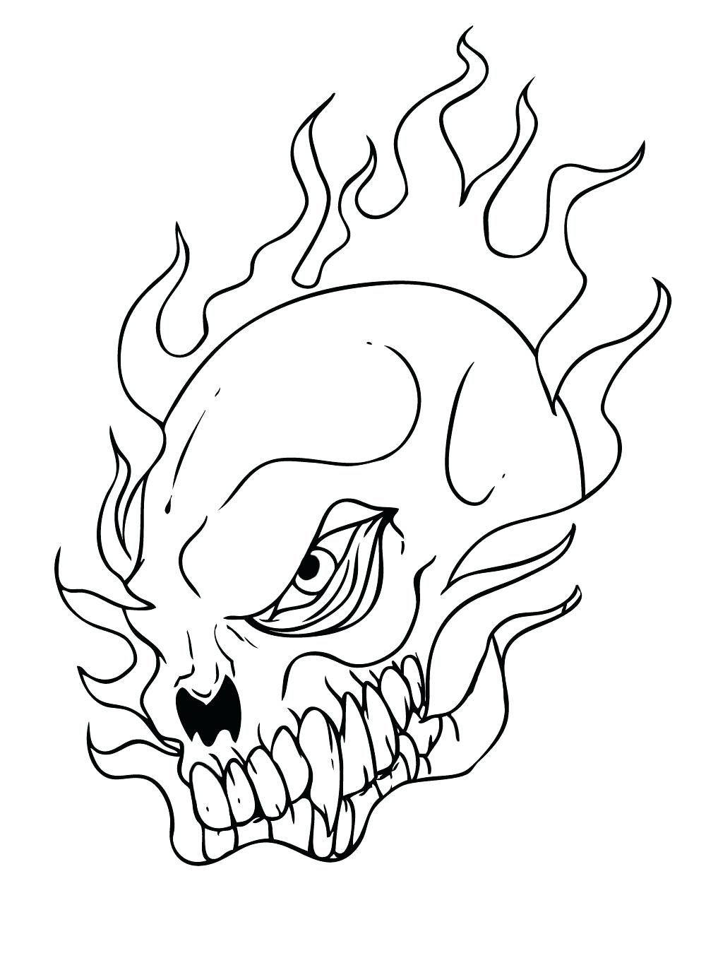 Coloring Page ~ Anatomy And Physiology Coloring Pages Free Skull 1000x1356 Coloring Page ~ Anatomy And Physiology Coloring Pages Free Skull