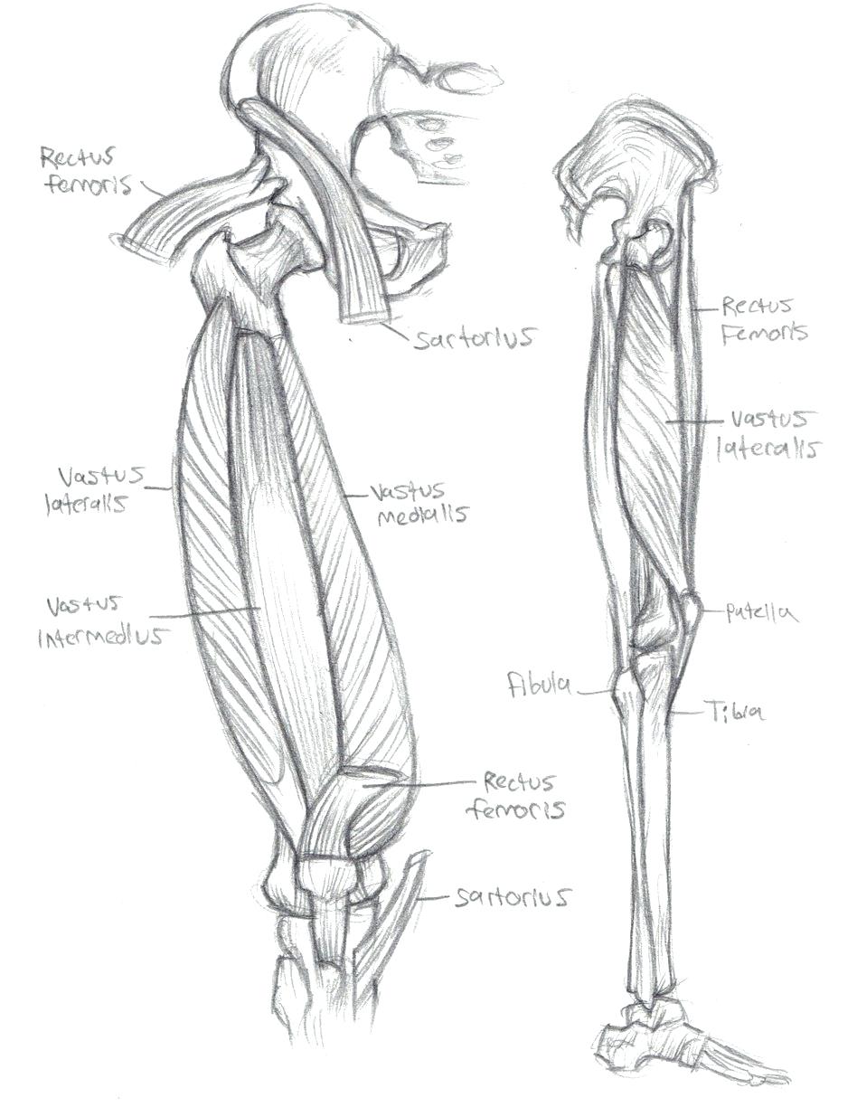 948x1224 Printable Printable Anatomy Coloring Pages Doctor Book Page 7 By