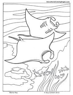 236x305 Ocean Coloring Pages Coloring Pages Sea Anemone (Natural World